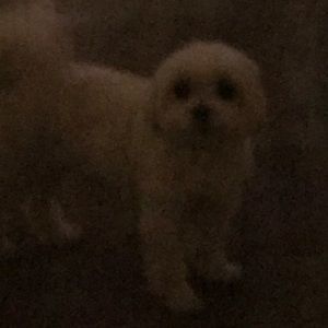 Meet your Posher, Darryl